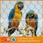 7X7 structure stainless steel woven or ferruled type bird aviary netting