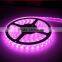 2015 manufacture smd led strip 5050 RGB 60LEDS/M 5M/Roll with PU IP68 high quality data sheet