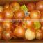 Low price high quality 2014 new crop fresh onion