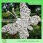 Decorative colorful Large butterfly decorations/Butterfly garden decorations/Wicker butterfly