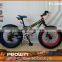 china supplier fat bike snow bike with new model fat bike tire (PW-FT20007)