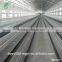 Commerical layer poultry farming equipment for sale