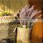 Wholesale Wooden Cask Hanging Plant Bonsai Decorative Bonsai Plant Sale