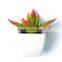 Modern Home Decor Mini Succulent Artificial Plants With Ceramic Pots