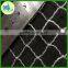 hdpe Commercial plastic mesh Knitted expeling bird net