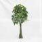 garden decor fake money tree artificial Pachira
