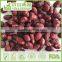 Hot sale sunflower kernels, Sunflower kernels snacks