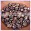 Deseeded Soapnuts Sapindus Mukorossi