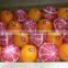 MORE MODERN AND PURE VALENCIA / NAVEL ORANGE FROM EGYPT