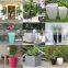 fashionable high quality fiberglass plants container and flowers pots cheap pots