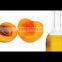 Apricot Kernel Carrier oil