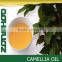 Camellia seed oil physical cold pressed nutrition and health
