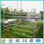 high quality hot galvanized horse corral panels