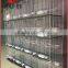 Good Price High Quality Pigeon Cages Design For 12 Pigeons