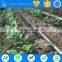 drip irrigation machine and drip irrigation tubing of irrigation system for agriculture