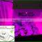 Cob led grow light lamp 150w small grow lamp for grow tent
