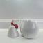 Hot Fruit Shaped Container Ceramic pear Jar