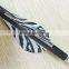 Striped Plastic Vanes Carbon Arrows with pin nocks