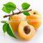Apricoat Oil