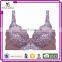 Top Selling Beautiful Hot Lady Lace Sexe / Sexi / Saxi Xxx Sexy Sexy Push Up Bra