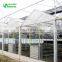 High Quality Clear Polycarbonate Greenhouse Agricultural Greenhouse