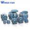 Electric Motor Three Phase Small ac Gear Motor