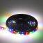 High quality addressable Black PCB smd 5050 led strip light