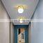 Modern Metal Flower Shape Ceiling Lamp LED Interior Decoration Ceiling lamp