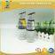 Clear European Oil Glass Bottles 500ml