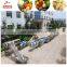 Turnkey project vegetable process equipment