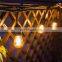 Hot on Amazon E26 E27 sockets S14 st64 a60 led bulb Waterproof Outdoor Yard patio home Garden Party LED festoon string light