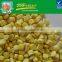 IQF Frozen Whole Chinese Sweet Corn Kernel