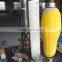 High capacity Wax gourd peeling machine / White gourd peeler / Benincasa hispida peeling machine