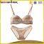 Sexy Lace Bra Panty Model New Style Push up Brand New Bra Panty Supplier's Choice