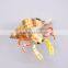 Handmade Delicate 4 inch Pearl Powder Plastic Lobster in Carved Conch Shell Fridge Magnet, Fake Seafood Figures                        
                                                Quality Choice