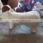 funny color fiberglass frog chair for children