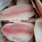 Frozen tilapia whole fish price GS