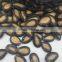 Chinese Watermelon Seed Black Seedless Watermelon Seed