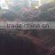 Manufacturers Selling Nets Fishing Net Ocean Ocean Seine