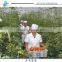 Plastic agriculture film greenhouse for sale