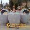 Growing Dinosaur Eggs for Theme Park