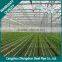 Cold Rolled Steel Pipe /Galvanced Steel Pipe for Building Greenhouse