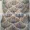 new fashion spangle loose sequins embroiery design for wedding dress