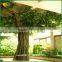 China Supplier Artificial Banyan Tree Wholesale