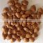 Supply roasted and raw apricot kernels in sheel for sale
