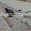 XH3000 High pressure hydraulic curbstone block machine