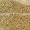 Peanut shell pelletizing machine CE