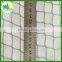 HDPE anti bird bird catching protect net