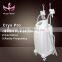 Smart system freeze fat therapy Frozen fat dissolving cryolipolysis lipo laser for clinic use