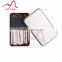 2017 new style 12pcs makeup brush for cosmetic with steel box